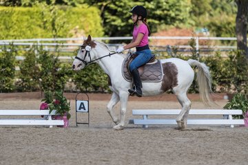 Bild 13 - Pony Akademie Turnier
